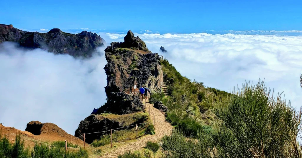 Pico Do Areiro Trail PR1